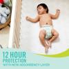 imageSeventh Generation Baby Diapers Size 2 80 Count Super Pack for Sensitive SkinSize 6