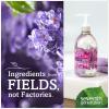 imageSeventh Generation Liquid Hand Soap Fragrance Free Free ampamp Clean Unscented Hand Soap 12 Floz Pack of 812 Fl Oz Pack of 6