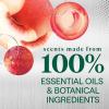imageSeventh Generation Foaming Dish Spray Honey Crisp Apple 16 Fl Oz Pack of 3 Refill Pack of 3 with 1 SprayheadHoney Crisp Apple