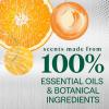 imageSeventh Generation Foaming Dish Spray Honey Crisp Apple 16 Fl Oz Pack of 3 Refill Pack of 3 with 1 SprayheadMandarin Orange