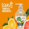 imageSeventh Generation Hand Soap Lavender Flower ampamp Mint 12 oz 8 Pack Packaging May Vary12 Fl Oz Pack of 1