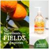 imageSeventh Generation Hand Soap Lavender Flower ampamp Mint 12 oz 8 Pack Packaging May Vary12 Fl Oz Pack of 6