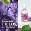 imageSeventh Generation Hand Soap Lavender Flower ampamp Mint 12 oz 8 Pack Packaging May Vary12 Ounce Pack of 1