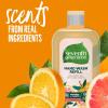 imageSeventh Generation Hand Soap Refills Mandarin Orange ampamp Grapefruit Transparent Mandarin Orange ampamp Grapefruit REFILL 24 Fl Oz Pack of 3