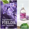 image:imageSeventh Generation Hand Wash Lavender 12 Ounce
