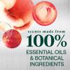 image:imageSeventh Generation Power Foaming Dish Spray Dishwashing soap Honey Crisp Apple Cuts Grease 16 ozHoneycrisp Apple